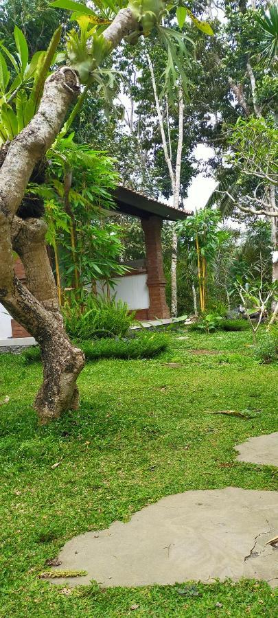 Appartement Tangkas House à Tampaksiring Extérieur photo